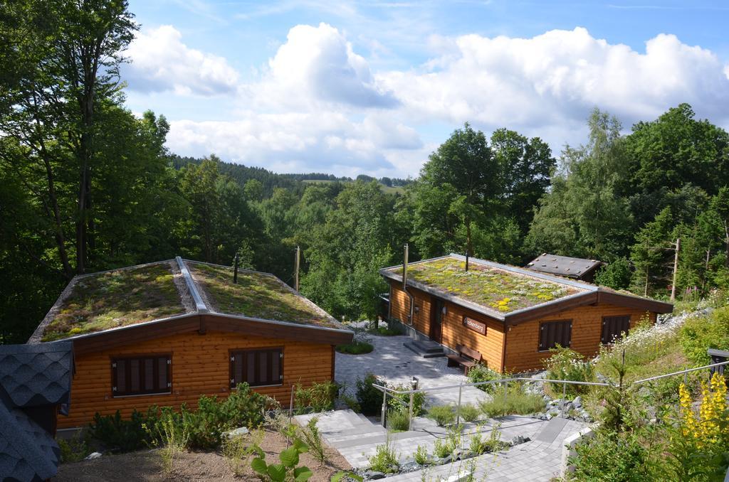 Landhaeuser Bergwiese Sankt Andreasberg Bagian luar foto